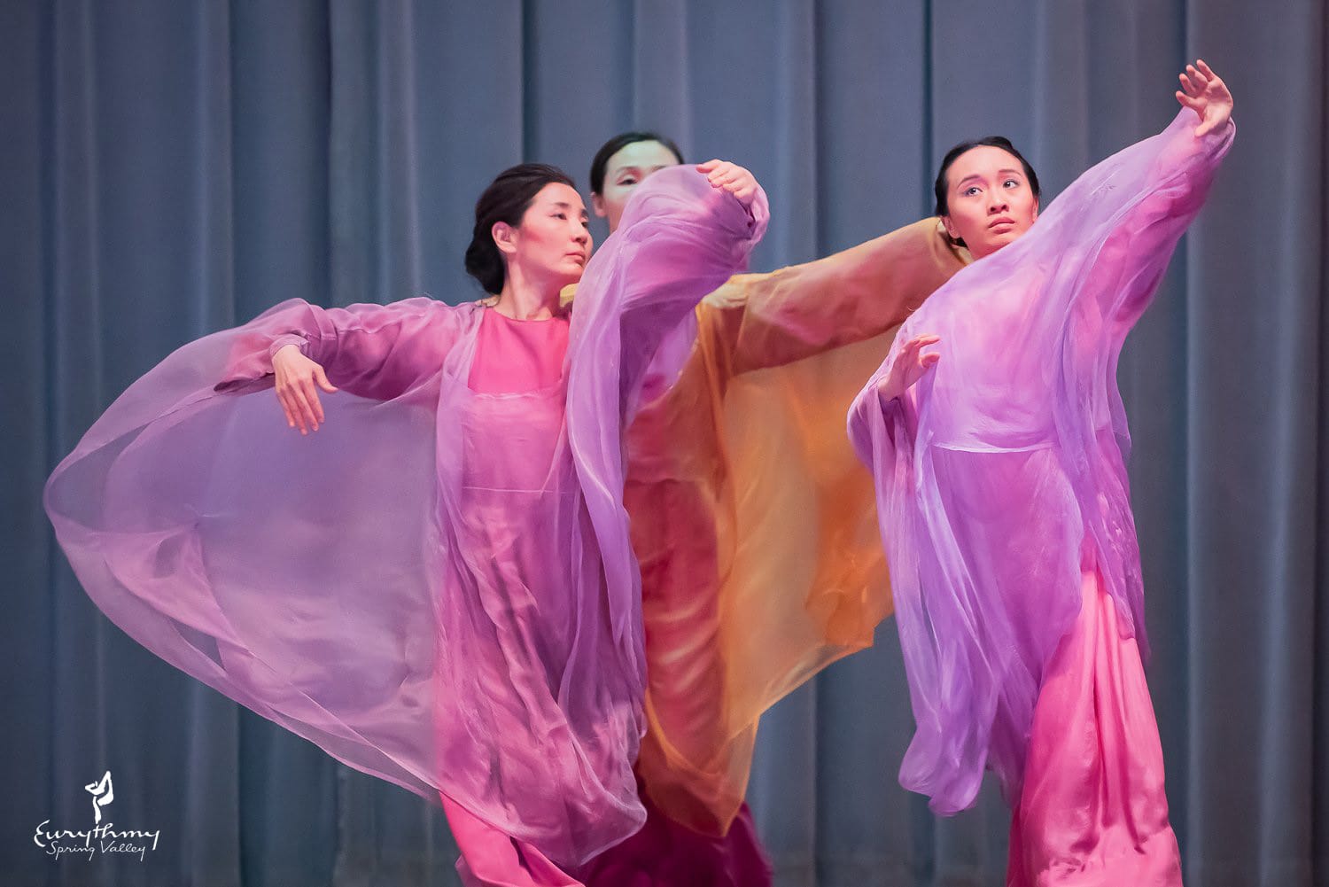 ESV-Postgraduate-Program-Photo-2021-2022-wLogo